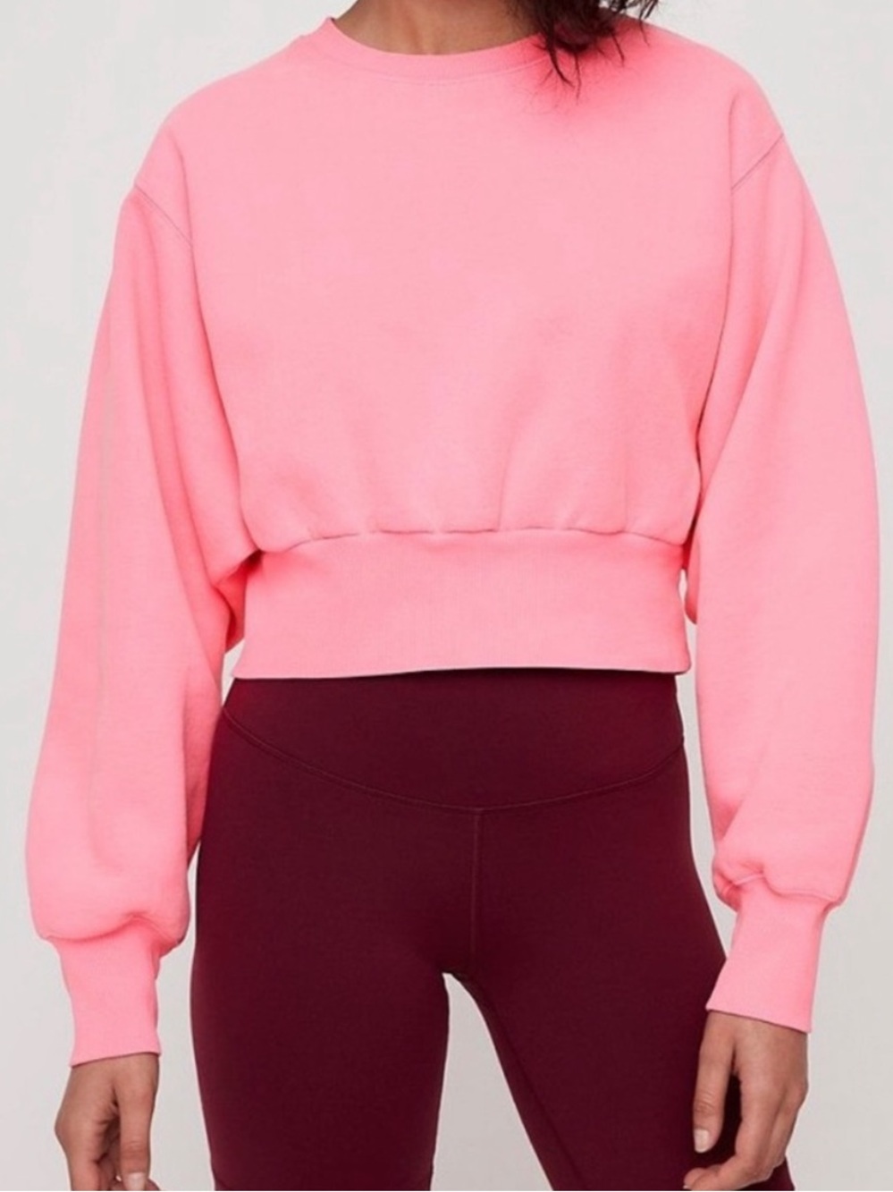 Aritzia Cropped Crewneck Sweatshirt